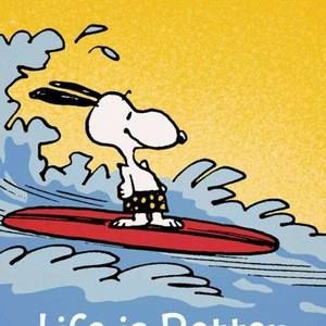 Meet your Posher, Ruth